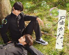 武汉网站优化公司微官网